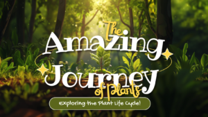 DiaEdu - Kids English Stories - 0008 - The Amazing Journey of Plants Exploring the Plant Life Cycle!